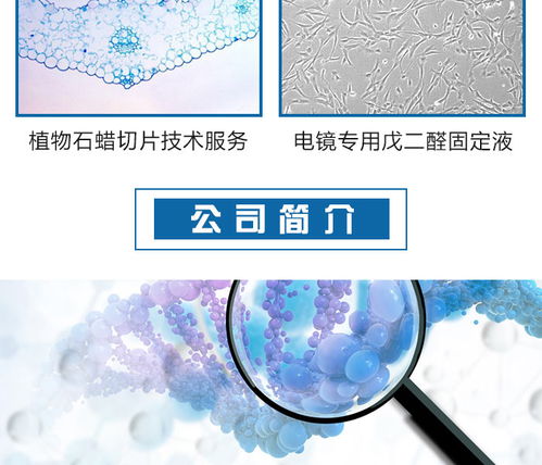 邁斯普 專(zhuān)業(yè)酵母雙雜交技術(shù)服務(wù)可靠推薦商家